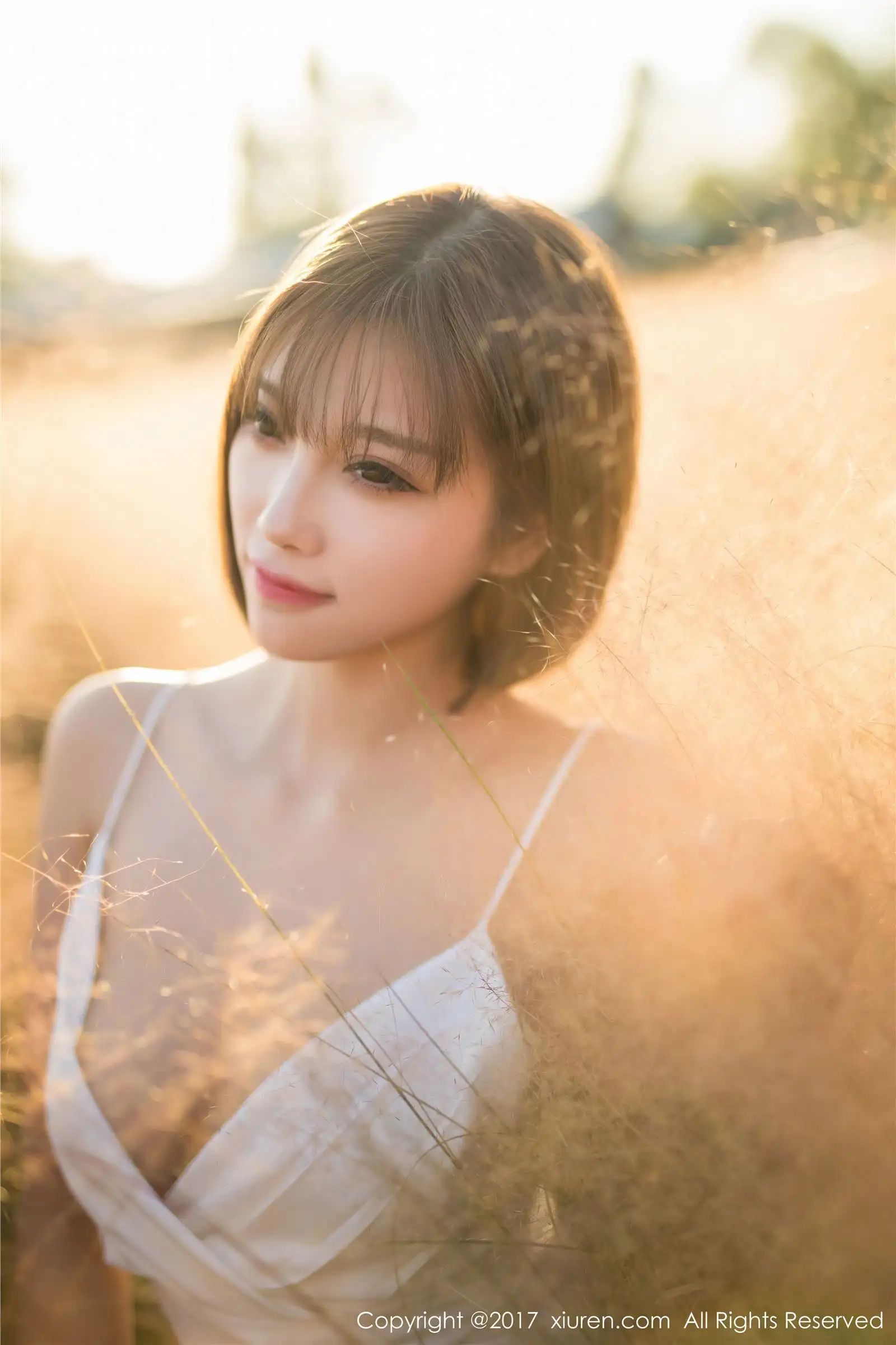 [秀人XIUREN] 2017.11.08 NO.847 杨晨晨sugar