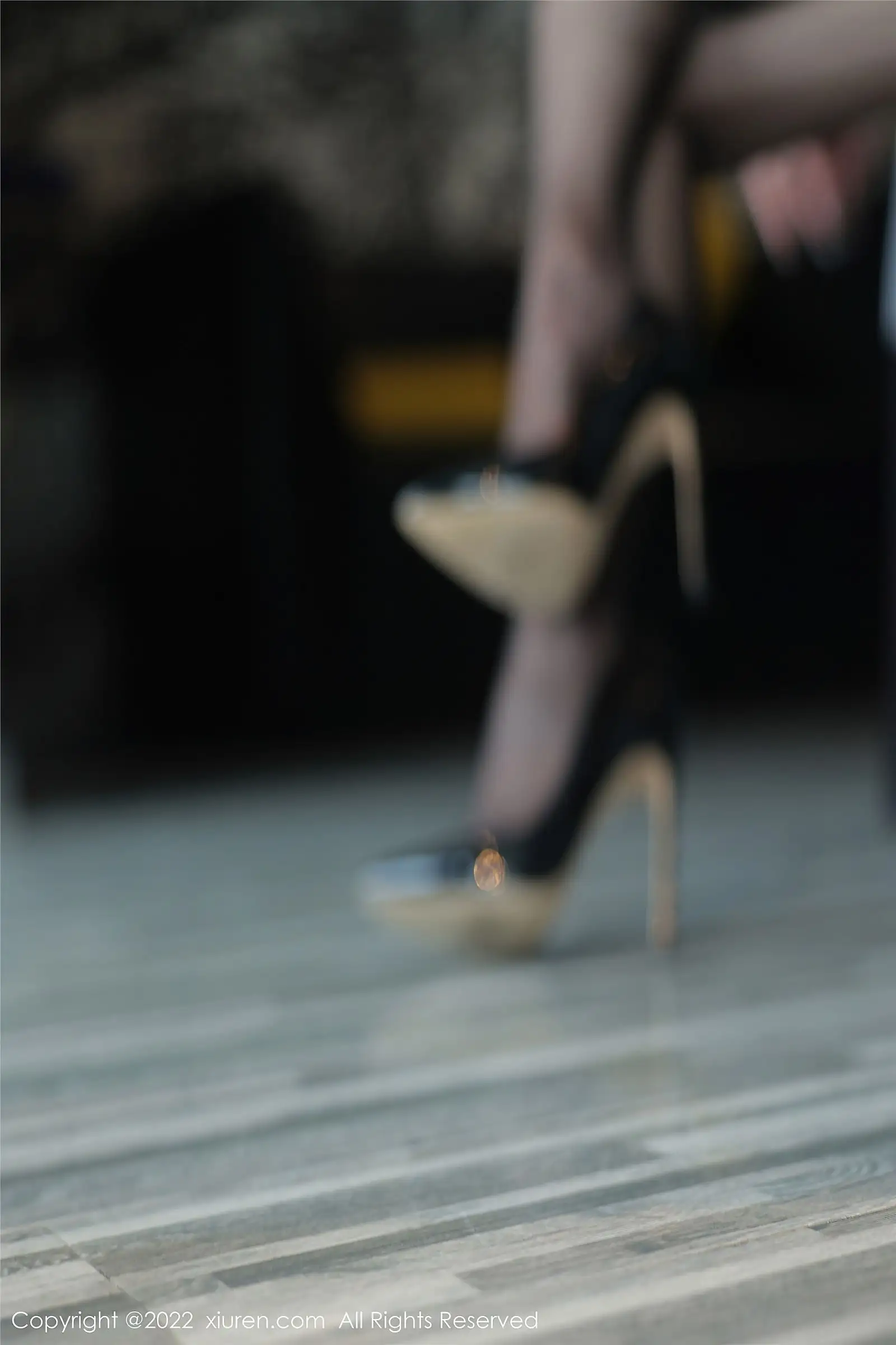 [XIUREN秀人网] 2022.10.11 NO.5691 顾楚楚Maily