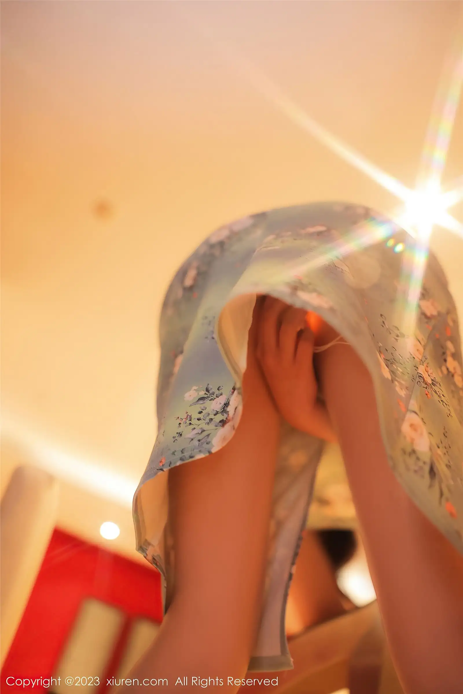 [XIUREN秀人网] 2023.03.24 NO.6464 Arude薇薇