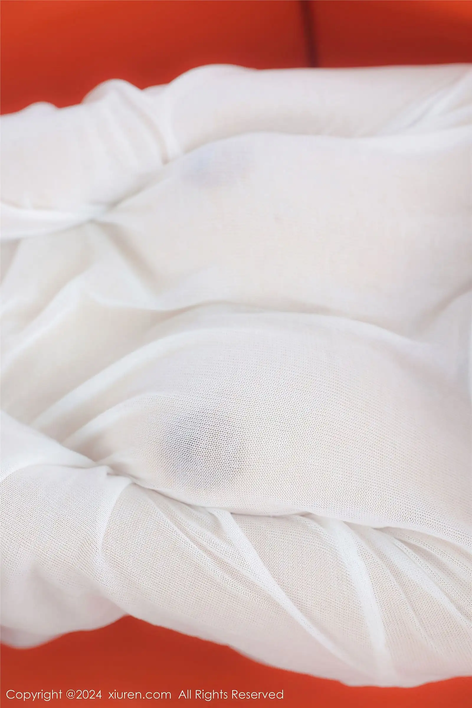 [XIUREN秀人网] 2024.01.02 NO.7898 小薯条nienie