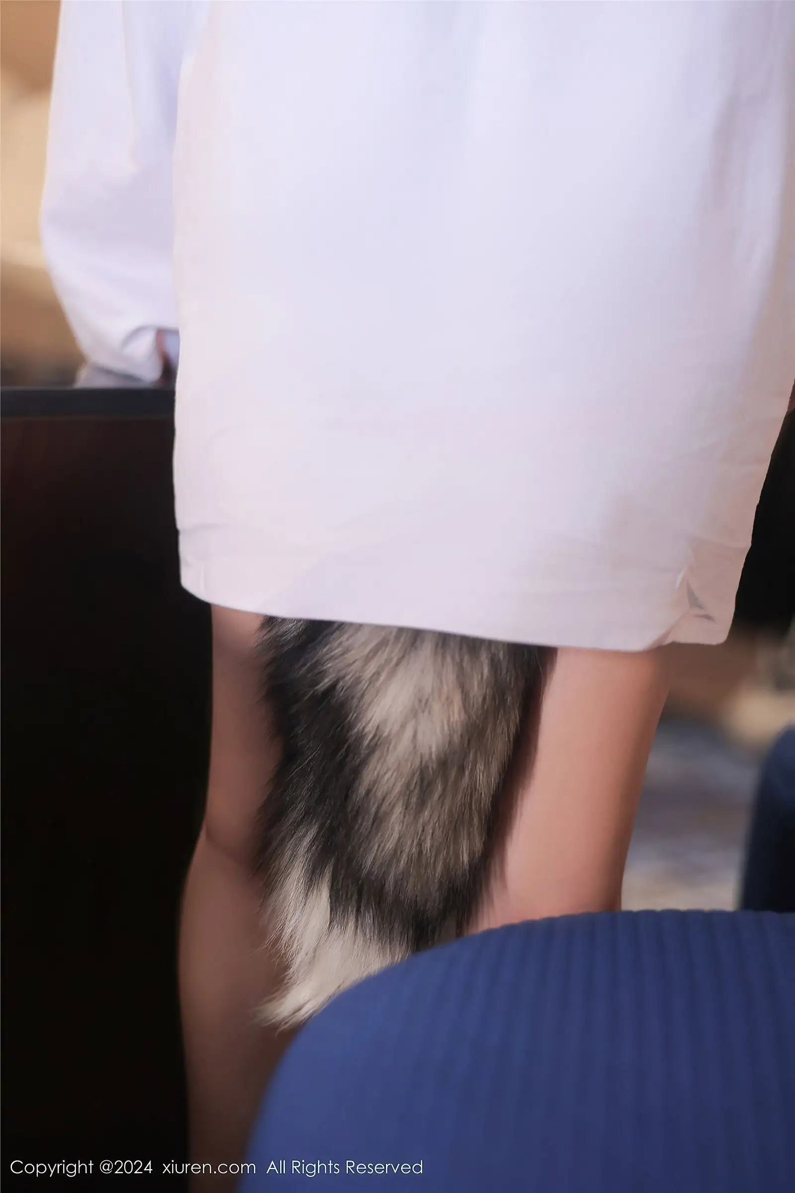 [XIUREN秀人网] 2024.03.18 NO.8245 媃柔