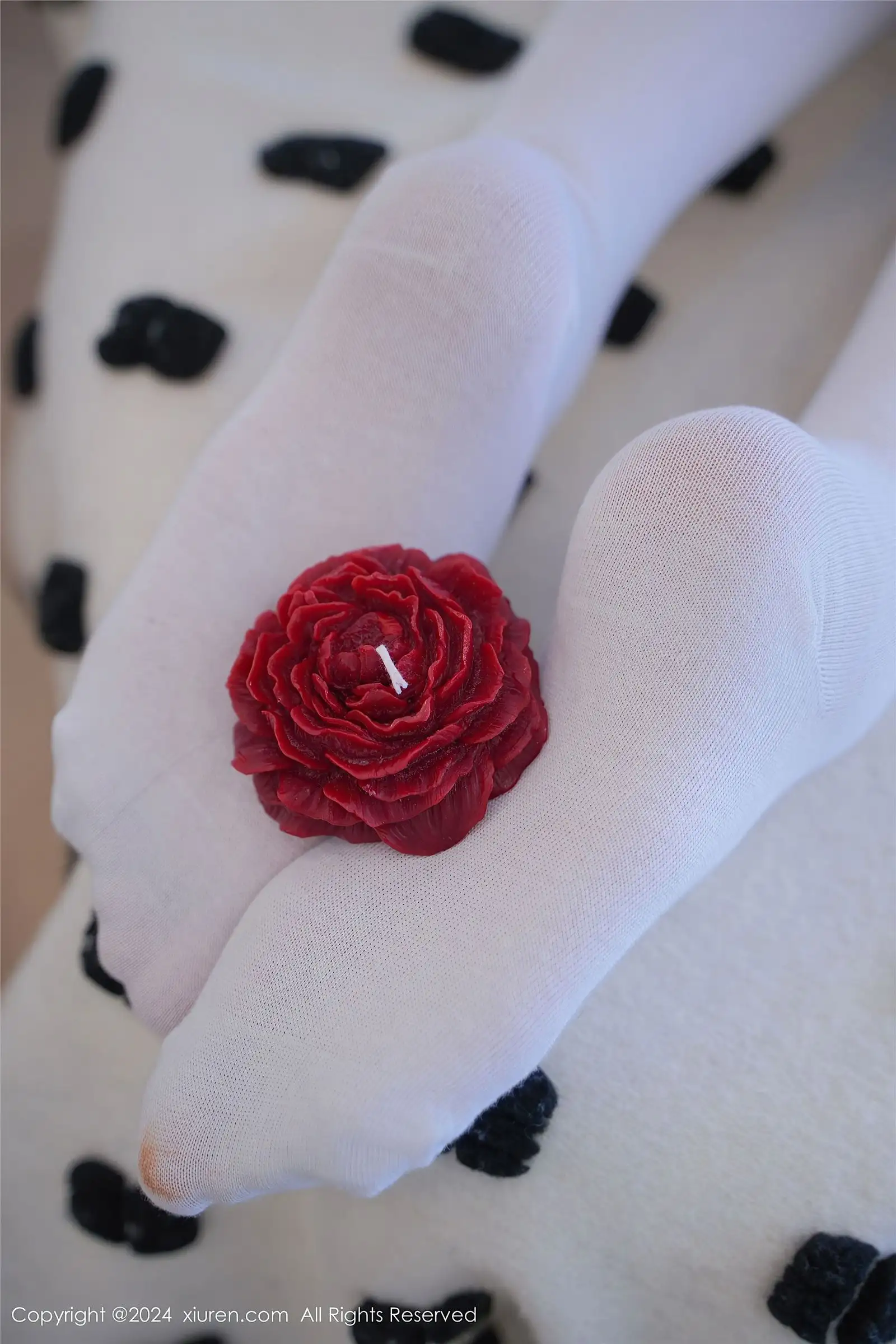 [XIUREN秀人网] 2024.03.21 NO.8268 晚苏susu