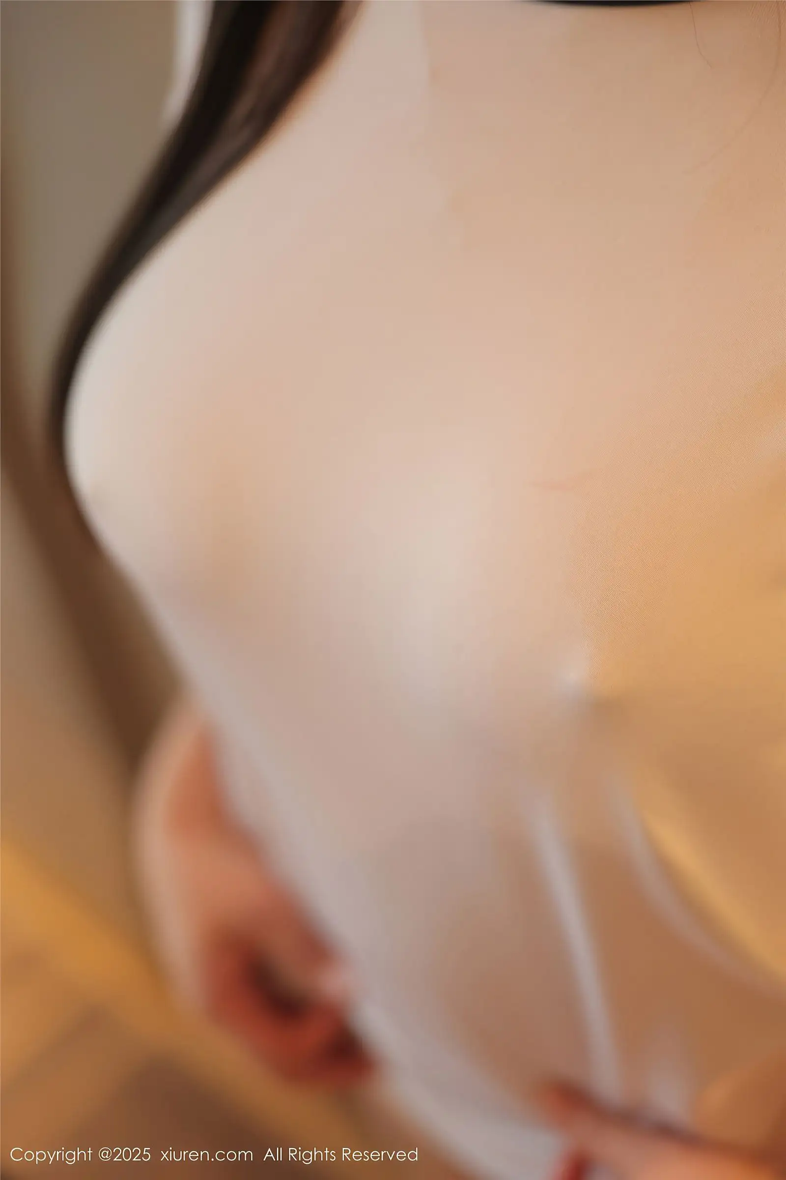 [XIUREN秀人网] 2025.01.16 NO.9766 爱酱里