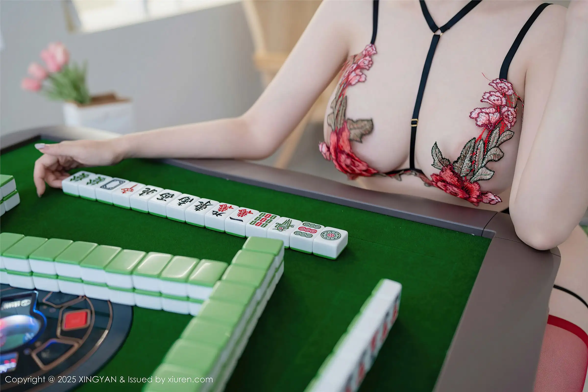 [XINGYAN星颜社] 2025.02.13 NO.308 袁圆