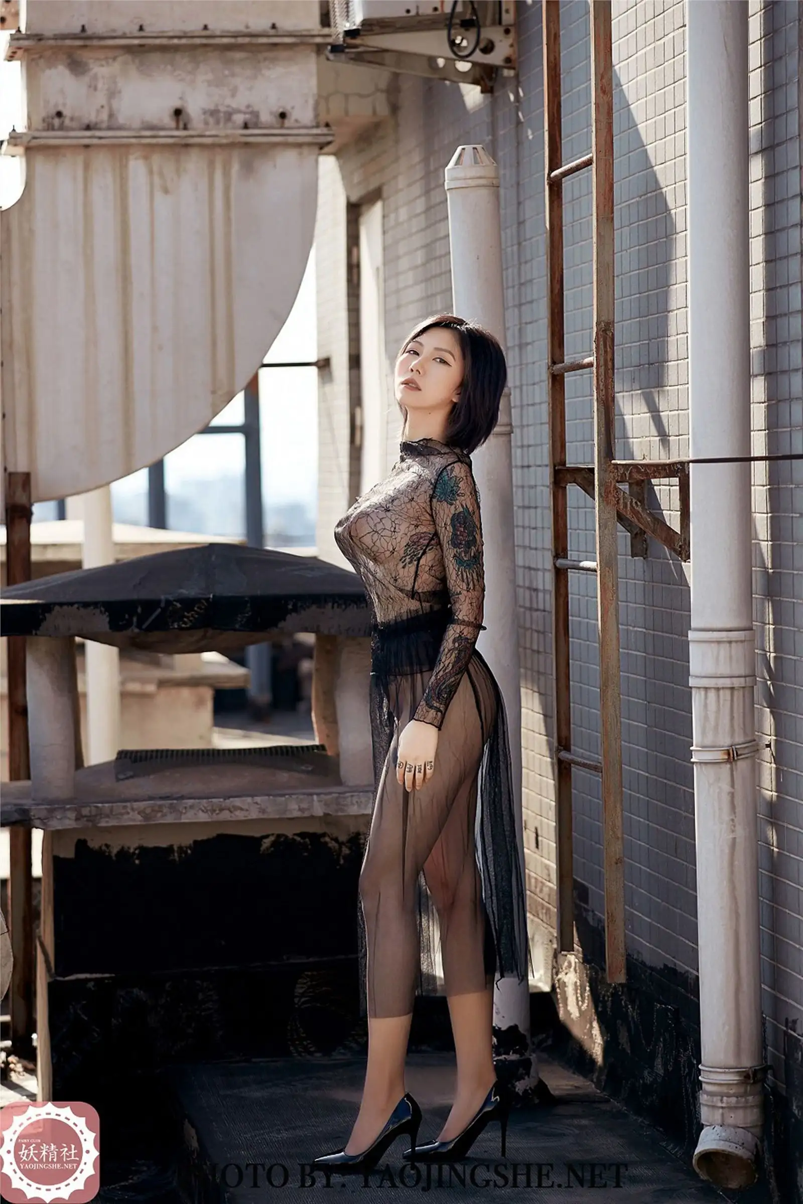 [YJS妖精社] 2020.01.07 Vol.007 菊花