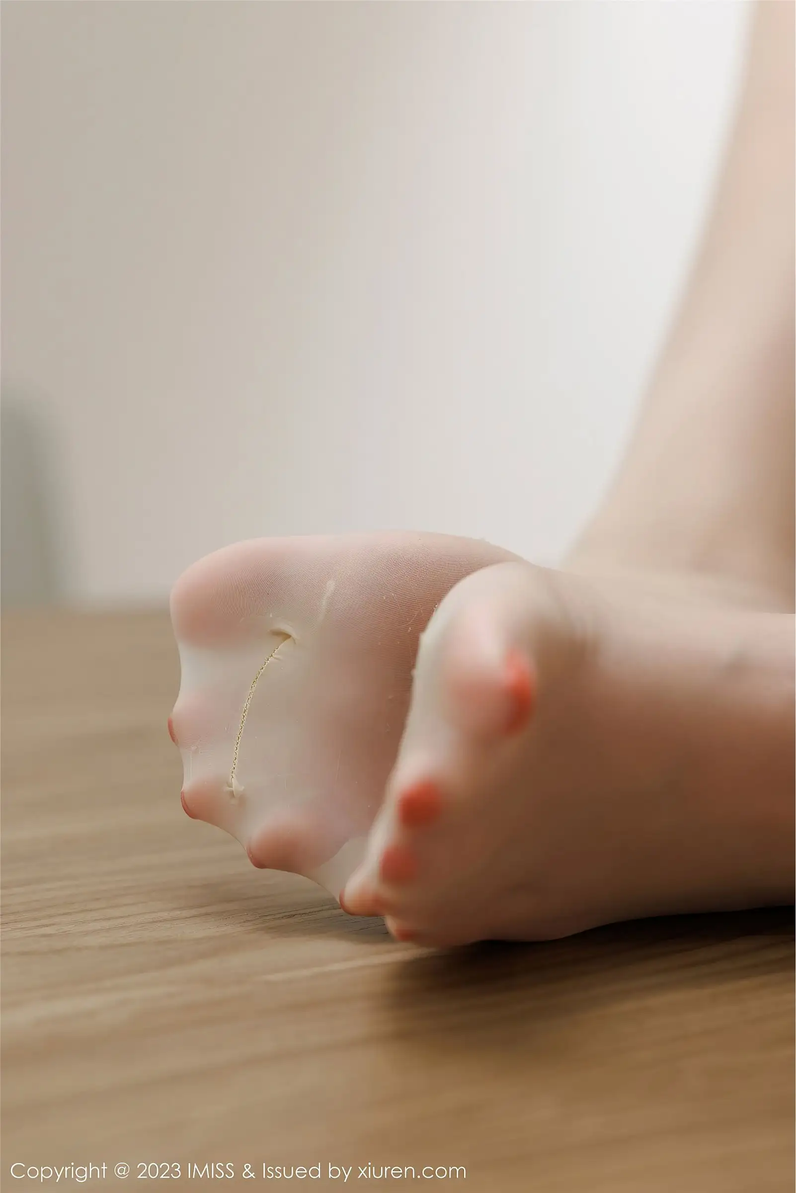 [IMISS爱蜜社] 2023.04.24 NO.732 Lavinia肉肉