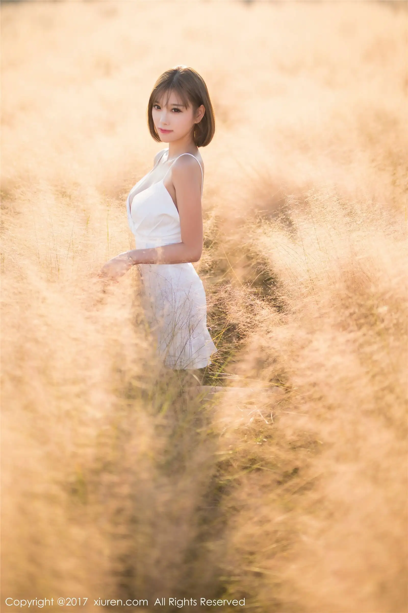 [秀人XIUREN] 2017.11.08 NO.847 杨晨晨sugar