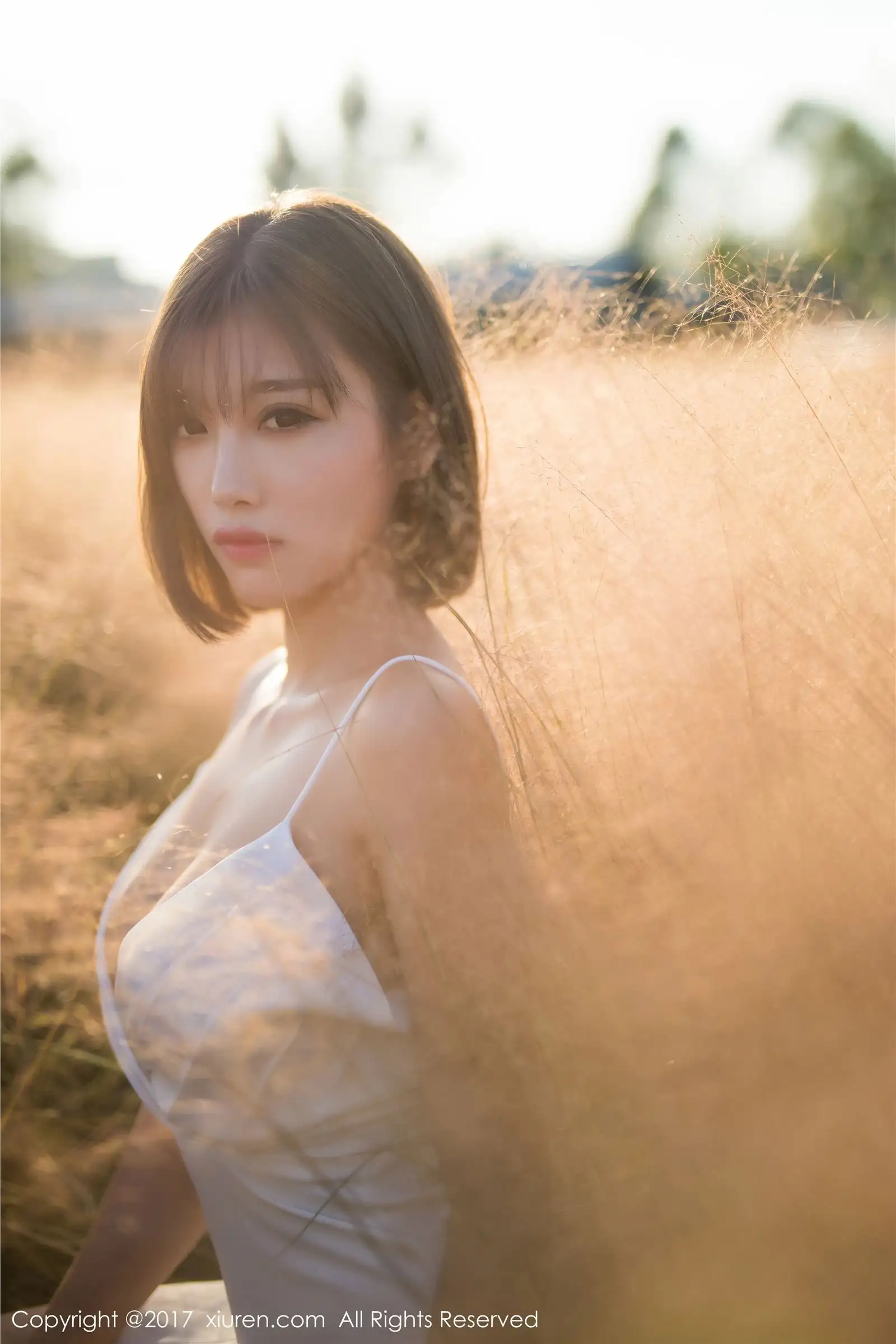 [秀人XIUREN] 2017.11.08 NO.847 杨晨晨sugar