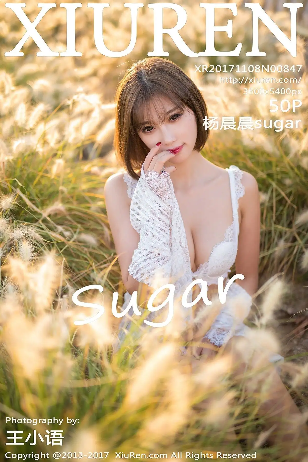 [秀人XIUREN] 2017.11.08 NO.847 杨晨晨sugar