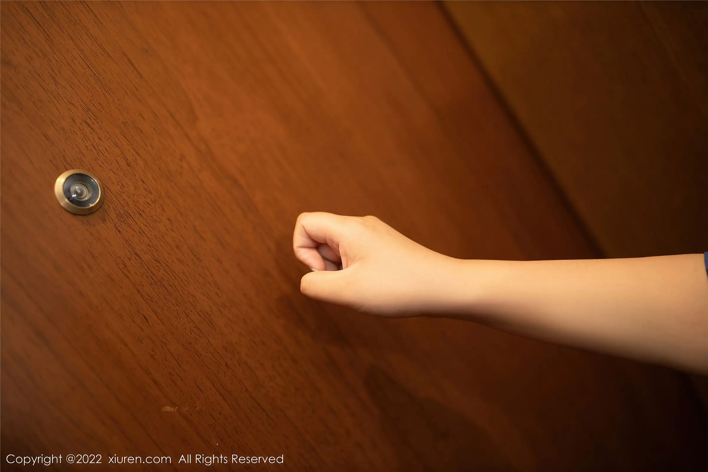 [XIUREN秀人网] 2022.01.21 NO.4497 鱼子酱Fish