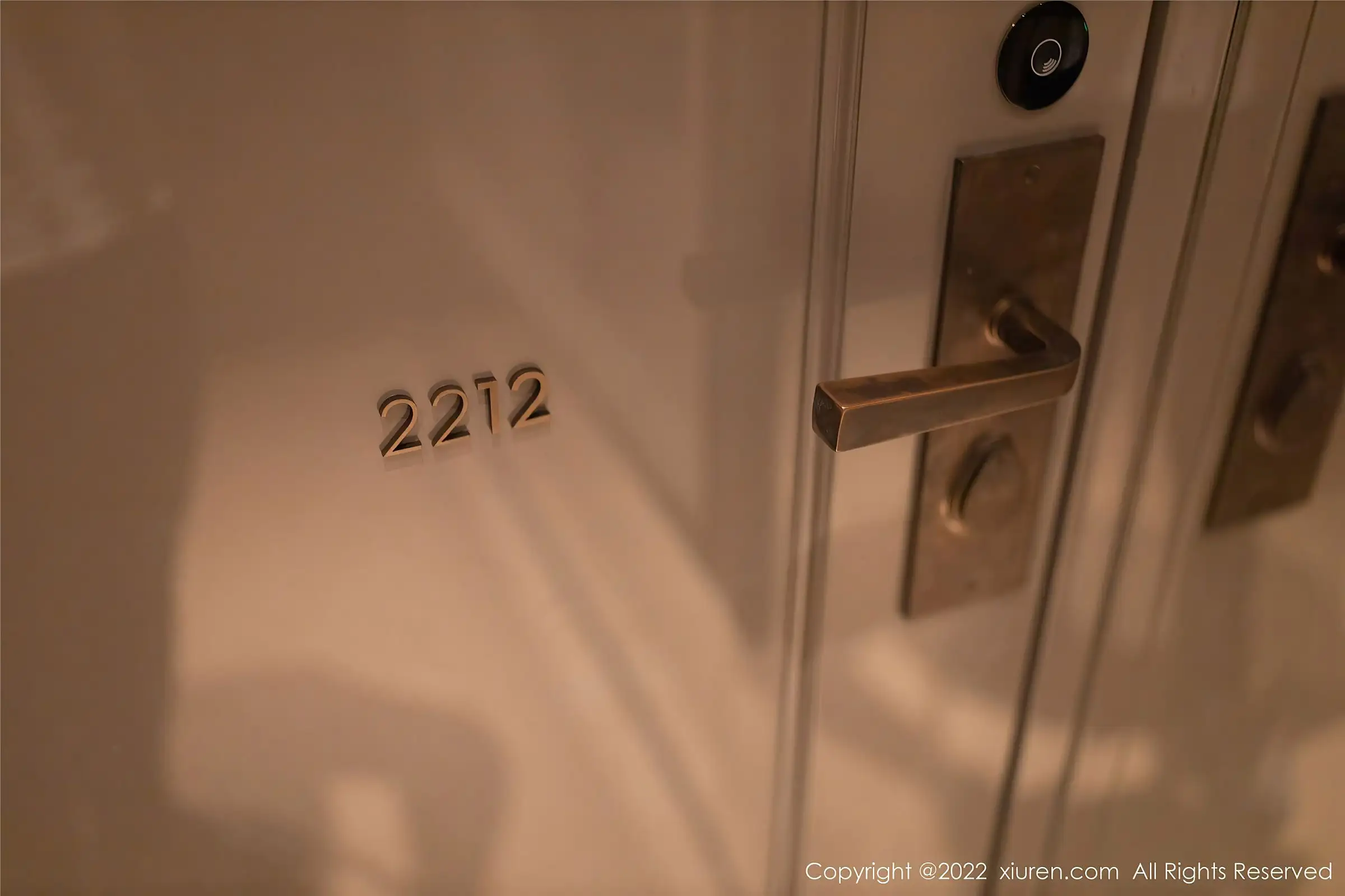 [XIUREN秀人网] 2022.06.21 NO.5170 安然anran