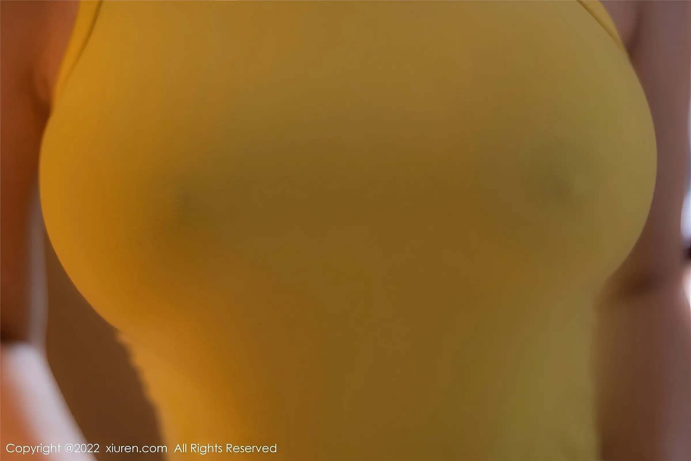 [XIUREN秀人网] 2022.11.11 NO.5843 顾乔楠Cora