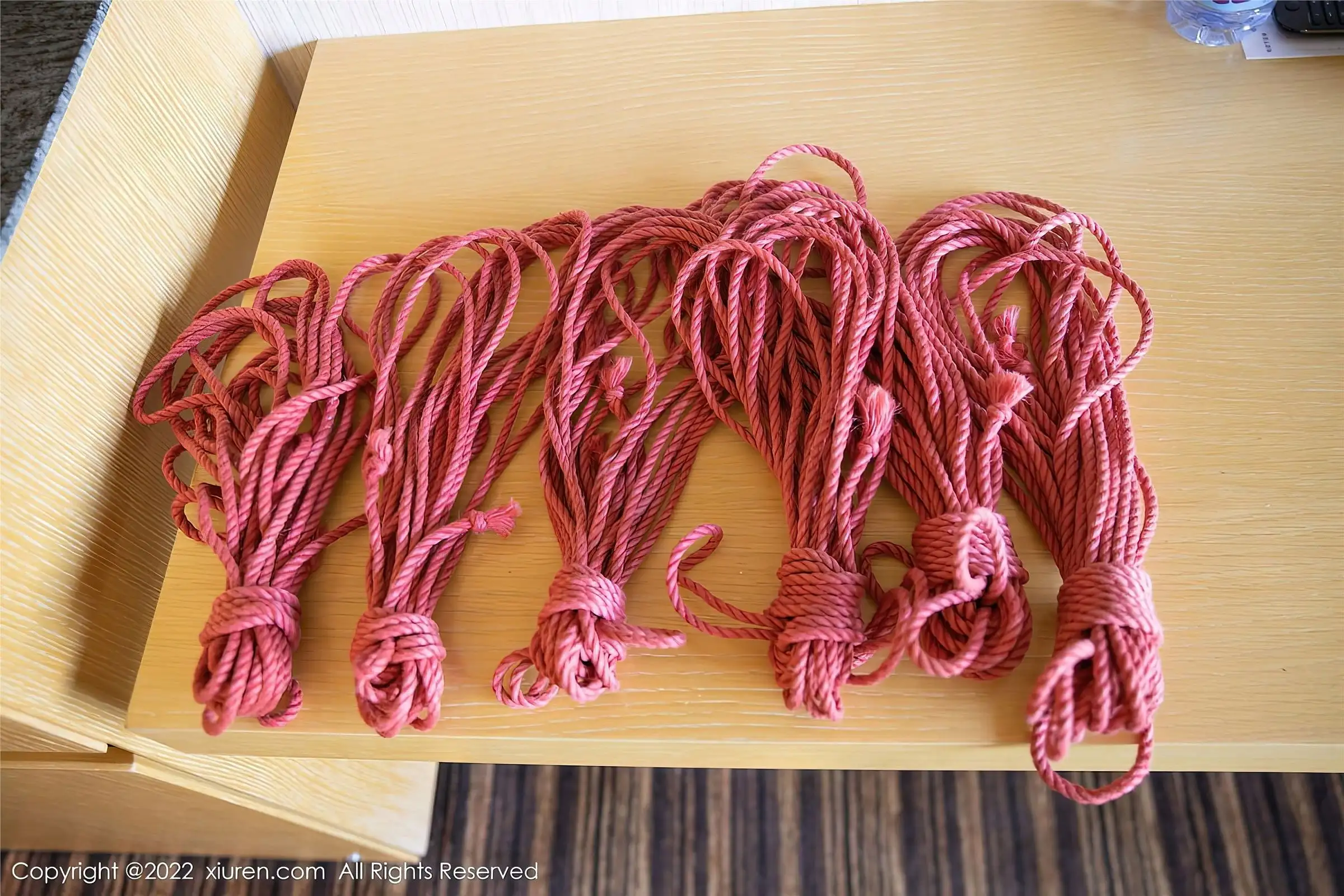 [XIUREN秀人网] 2022.11.25 NO.5910 就是阿朱啊