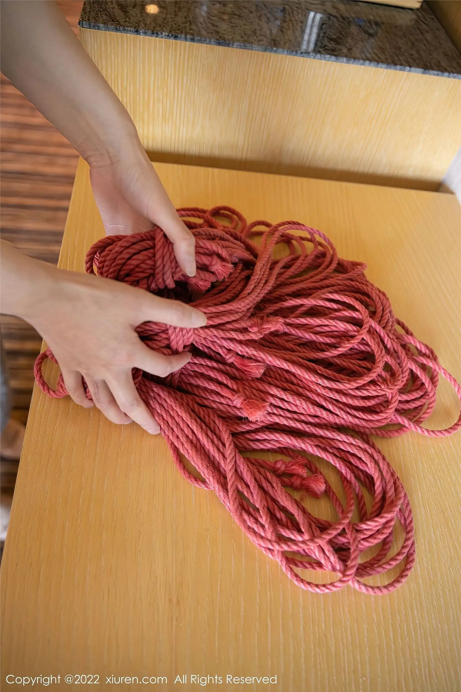 [XIUREN秀人网] 2022.11.25 NO.5910 就是阿朱啊