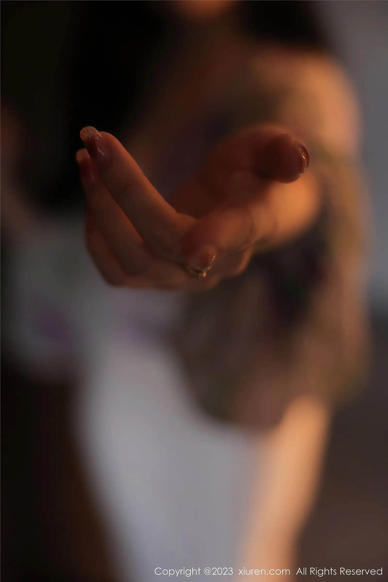 [XIUREN秀人网] 2023.02.17 NO.6279 星子柒kiki