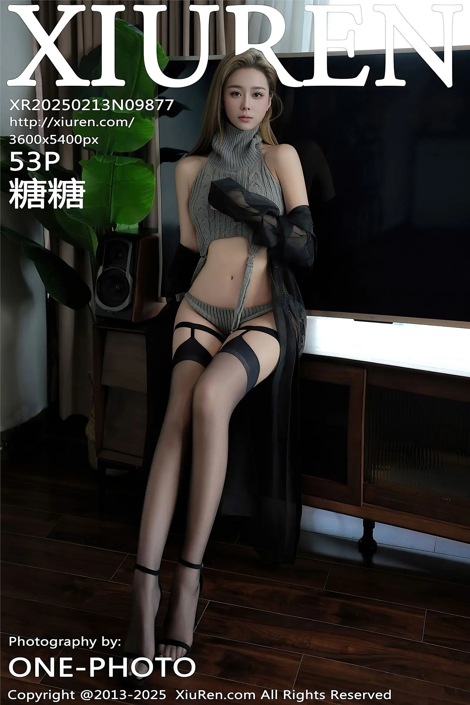 [XIUREN秀人网] 2025.02.13 NO.9877 糖糖