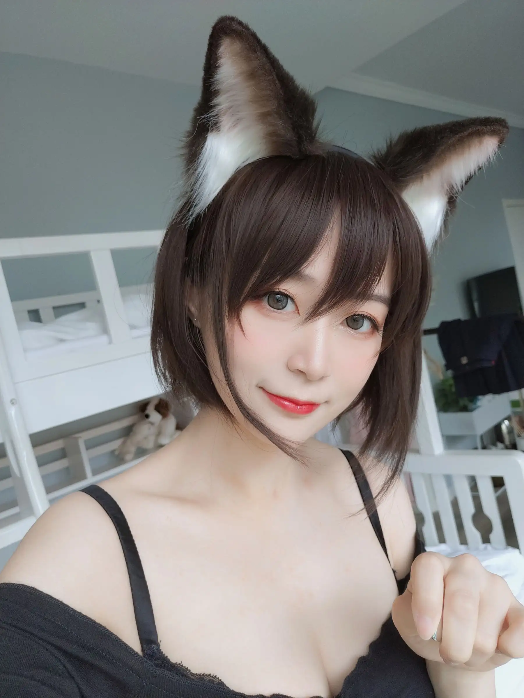 [白银81] NO.010 布偶猫