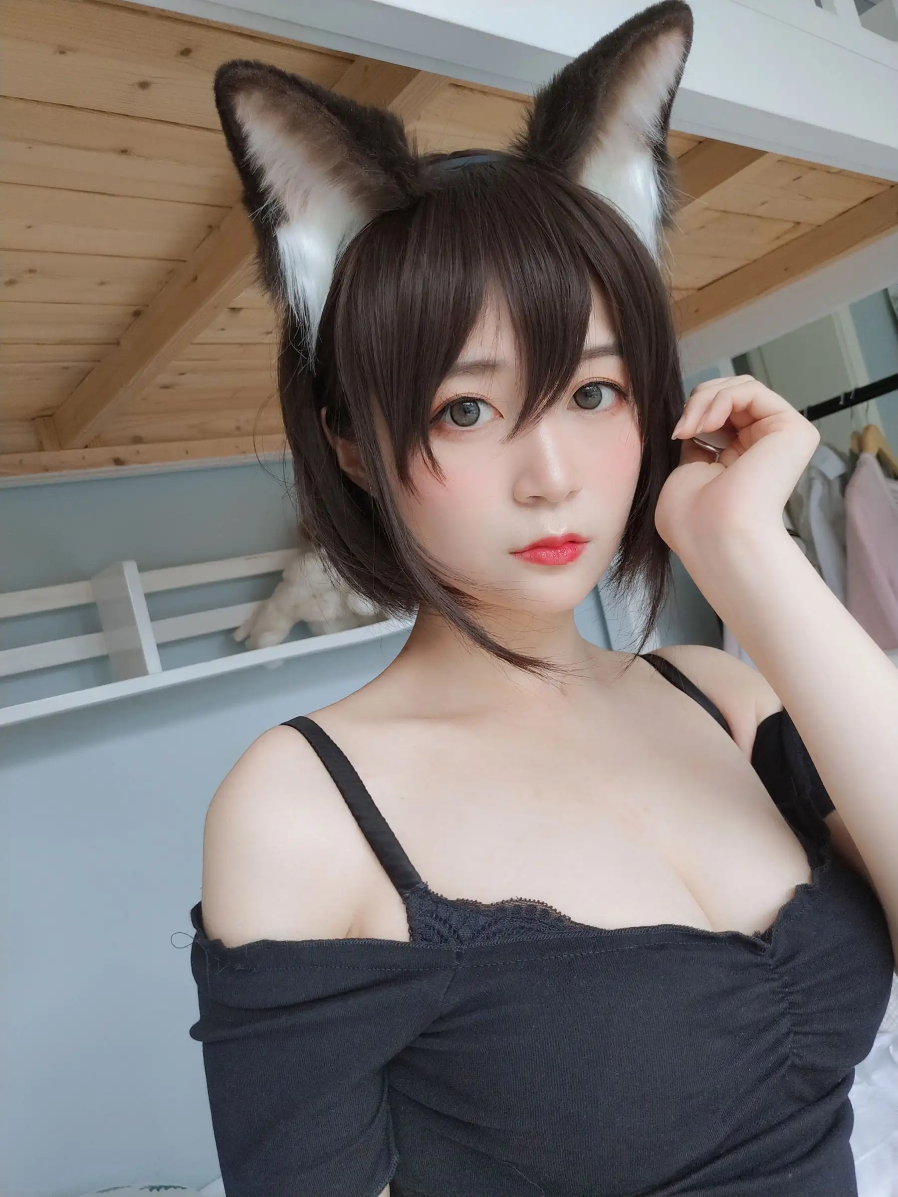 [白银81] NO.010 布偶猫