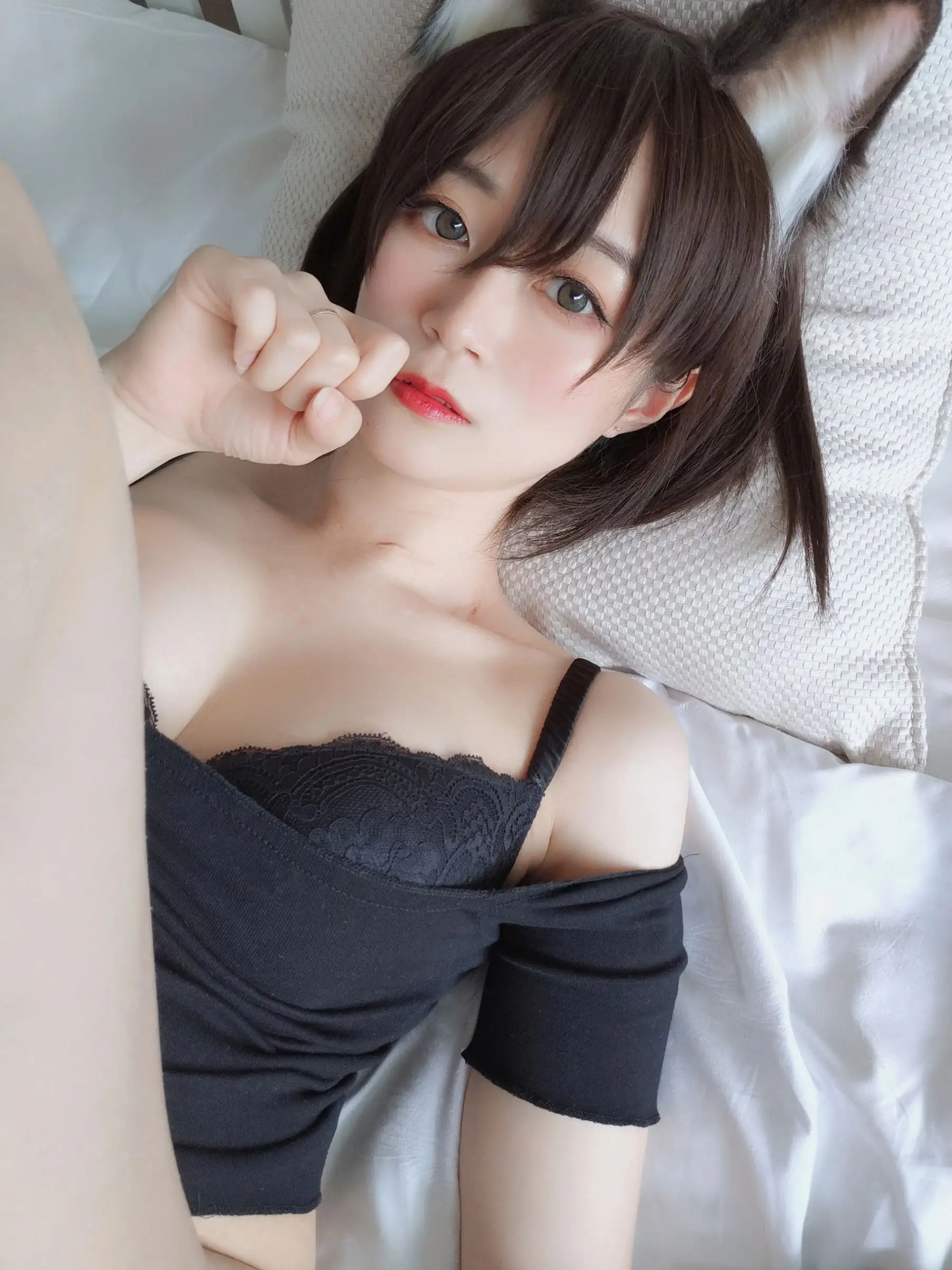 [白银81] NO.010 布偶猫