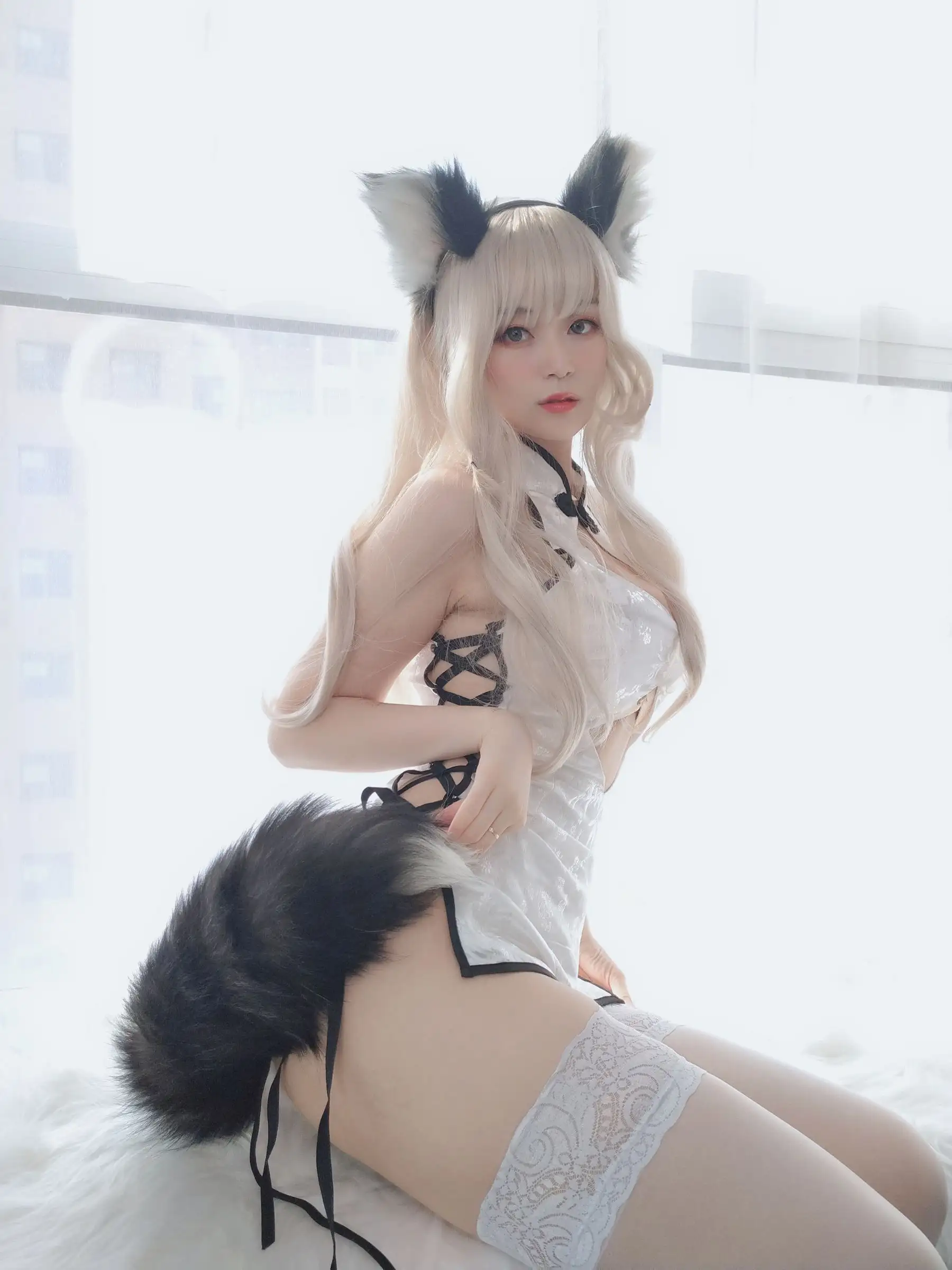 [白银81] NO.022 小白狼
