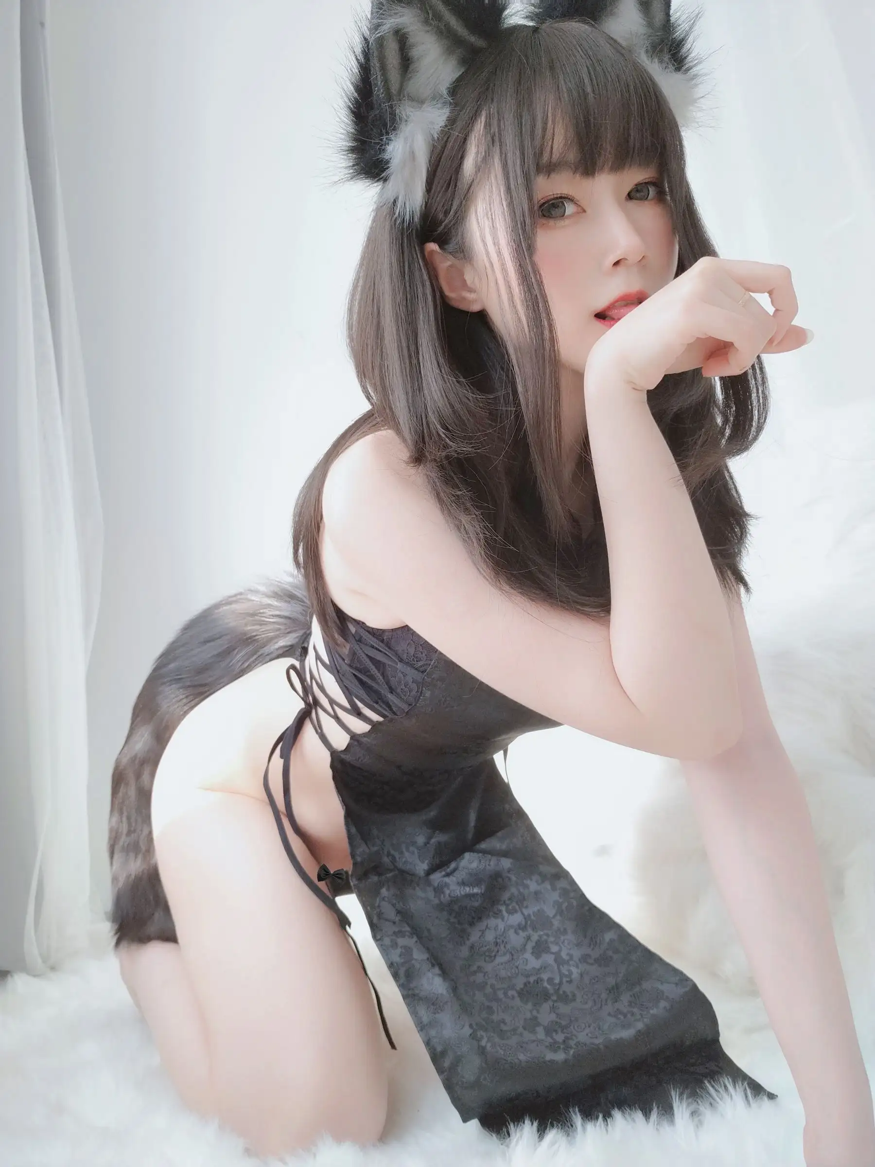 [白银81] NO.027 小黑狼