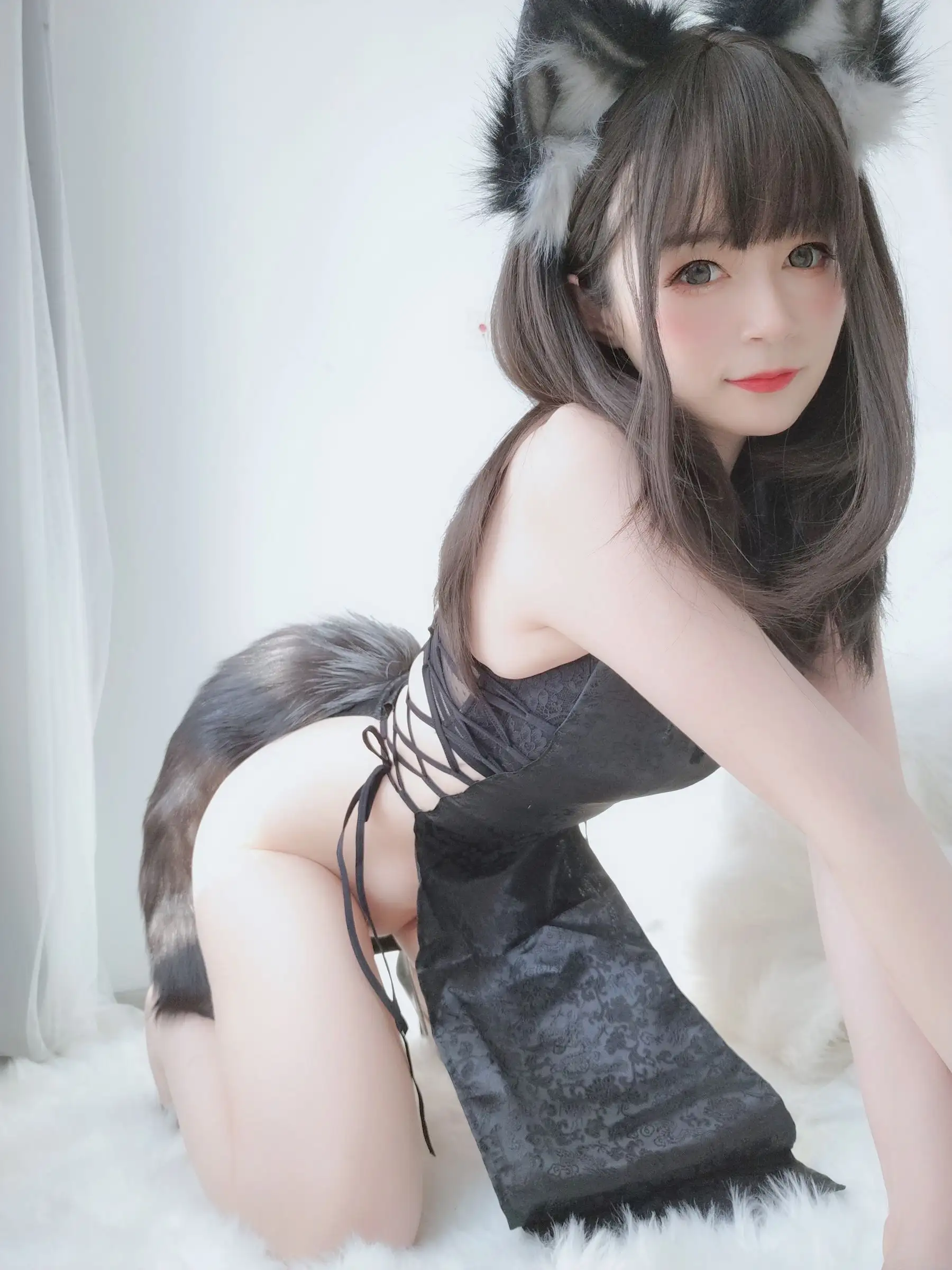 [白银81] NO.027 小黑狼