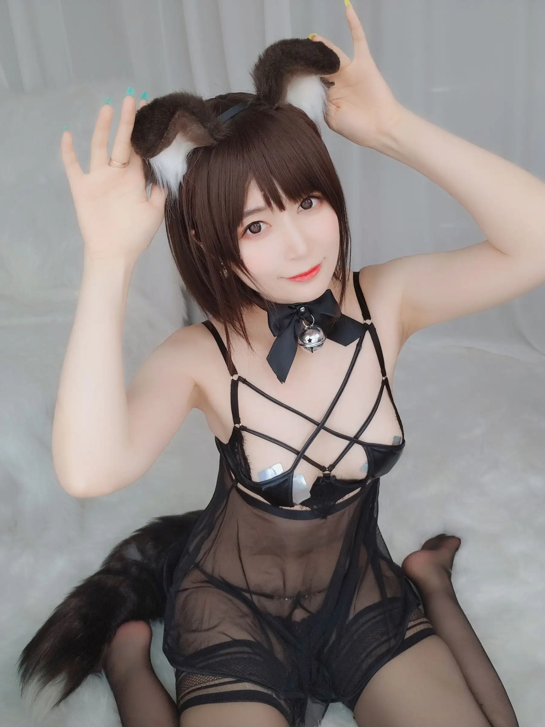 [白银81] NO.044 折耳狗