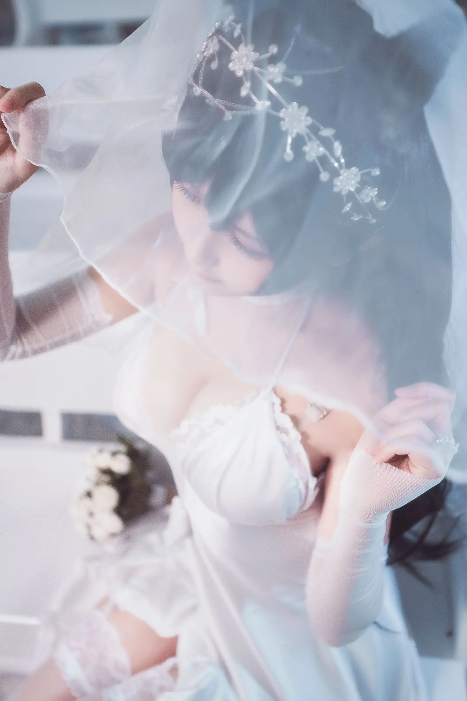 [三度_69] NO.008 碧蓝航线 犬