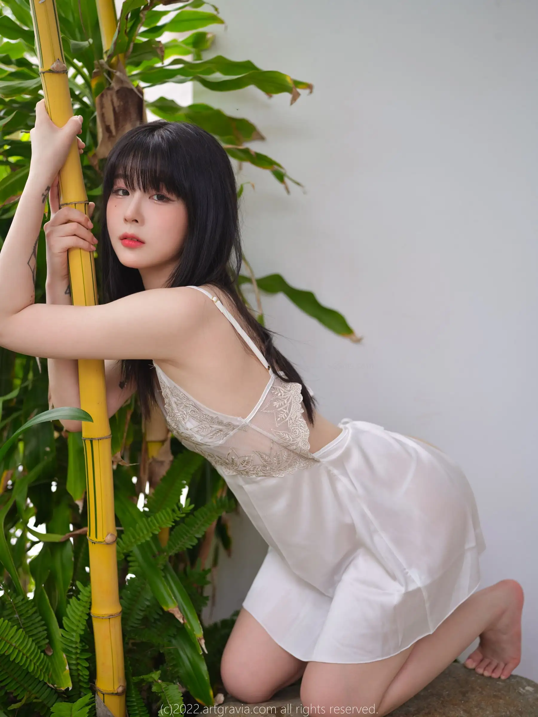 [ARTGRAVIA] NO.454 Jang Joo