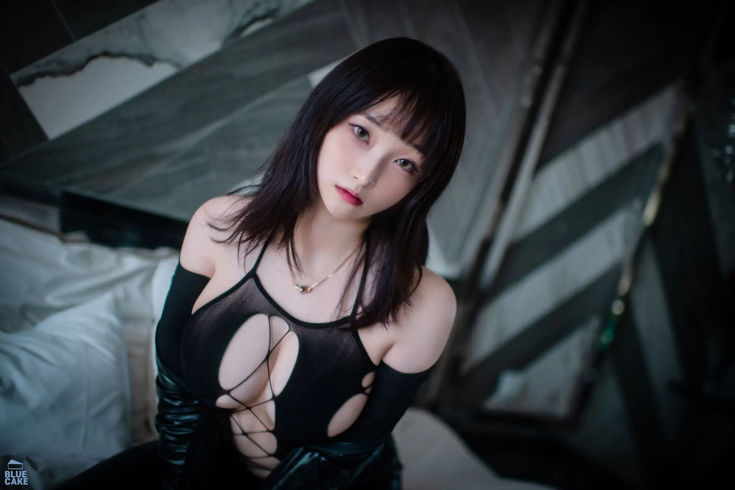 [BamBi] NO.109 [BLUECAKE] Black Mist Mesh&Stocking