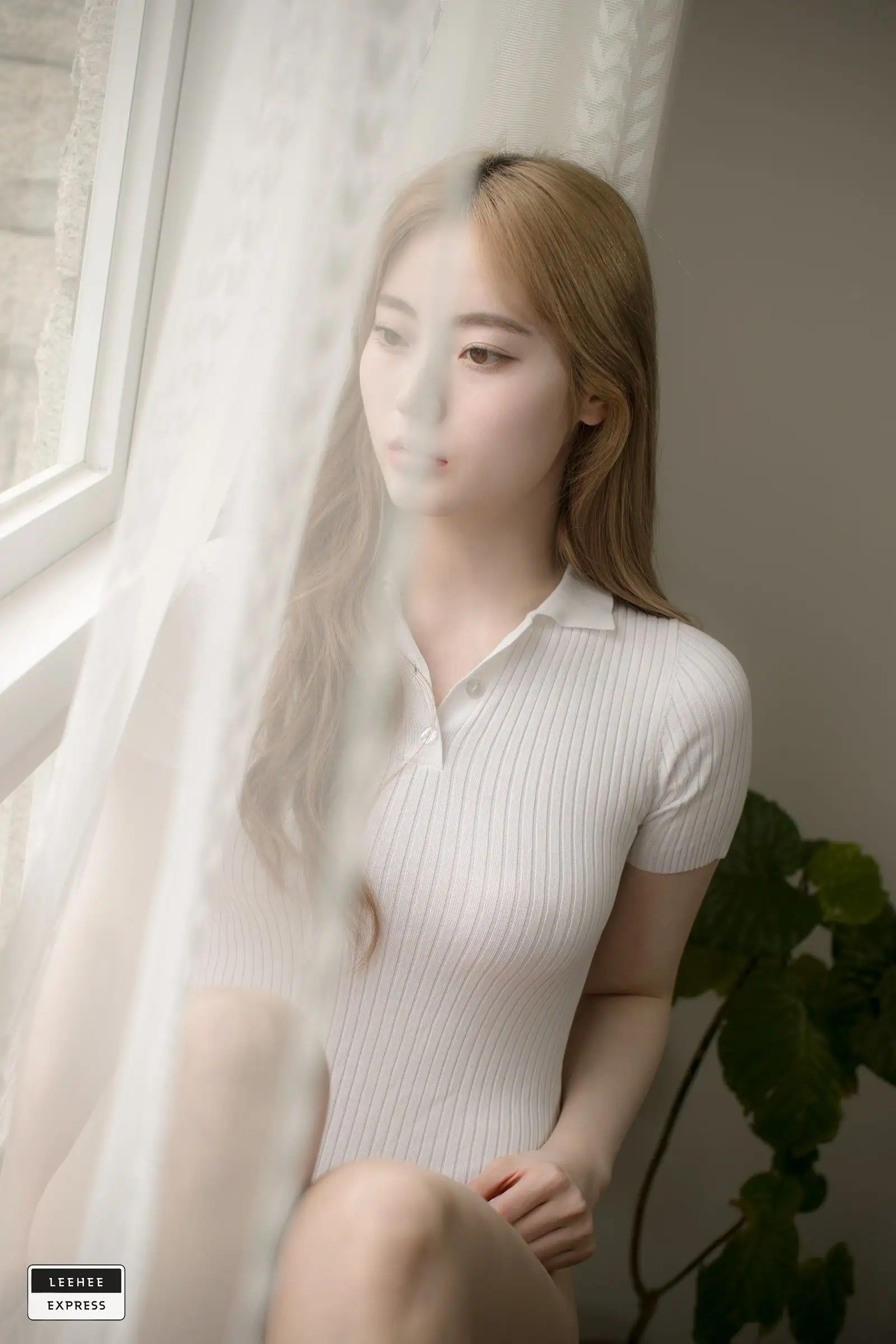 [Leehee Express] 041 LEDG-017 J.A