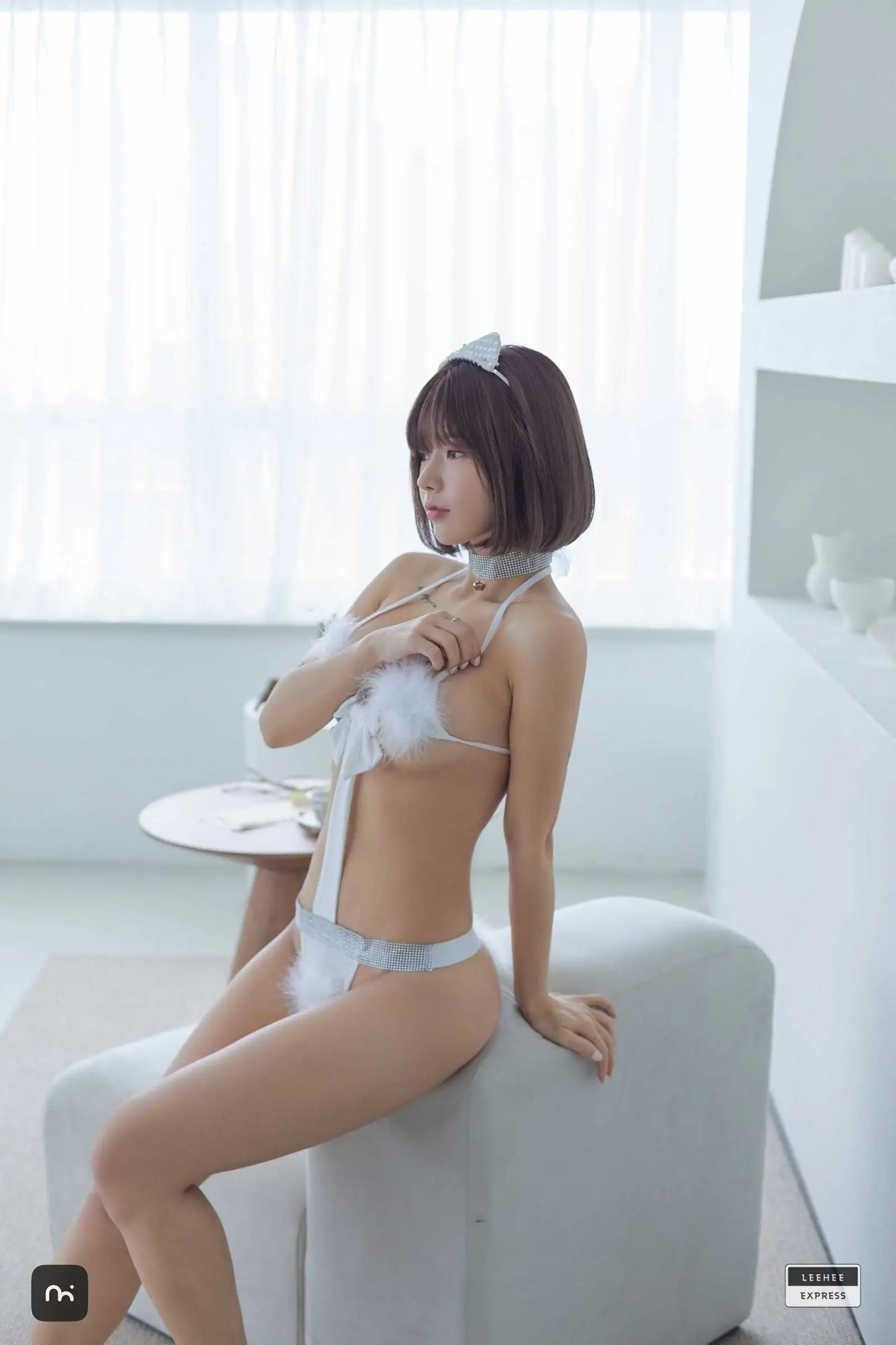 [Leehee Express] NO.271 LEDG-193A