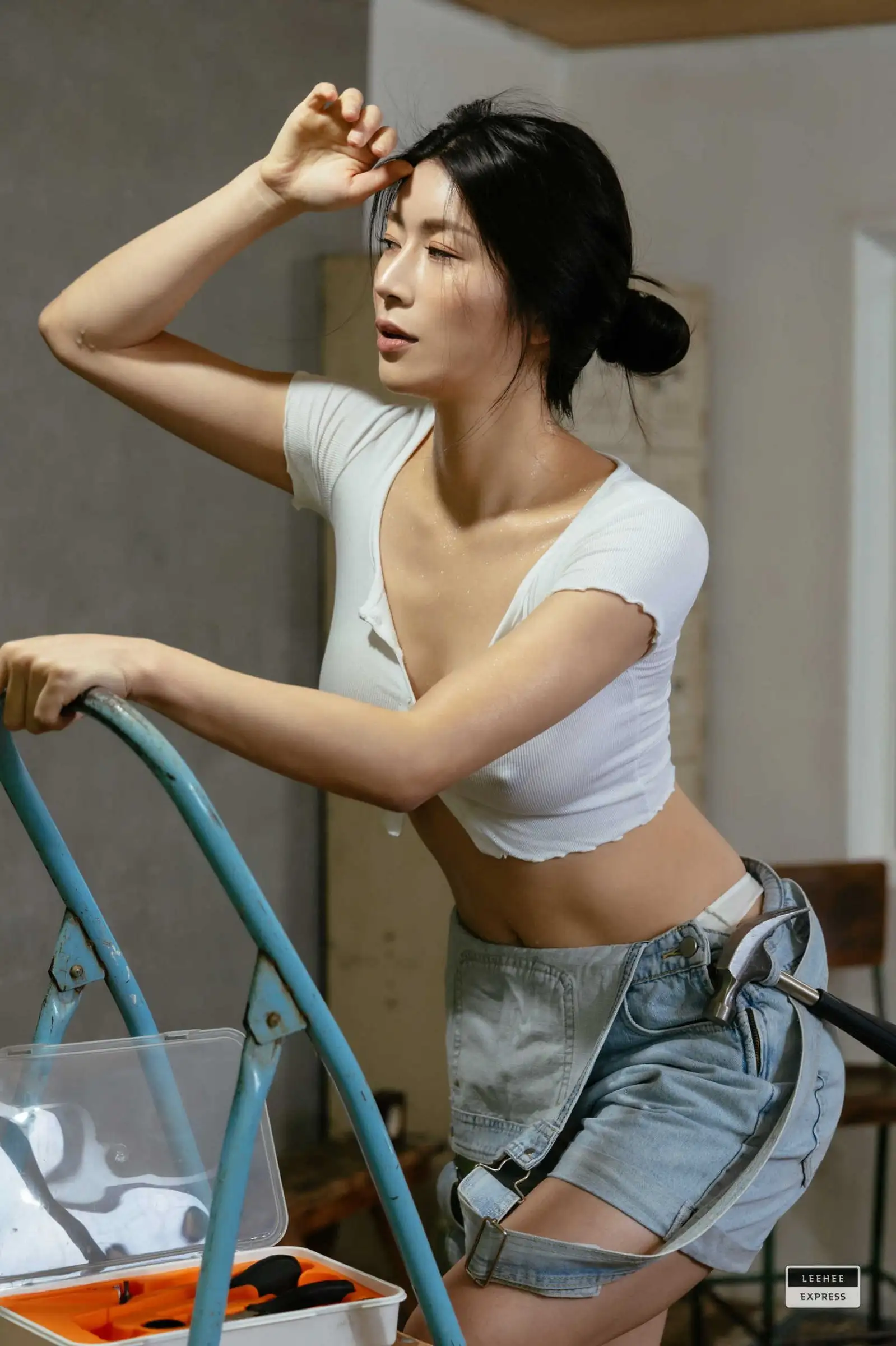 [Leehee Express] NO.389 LEHF-213B MIN.E