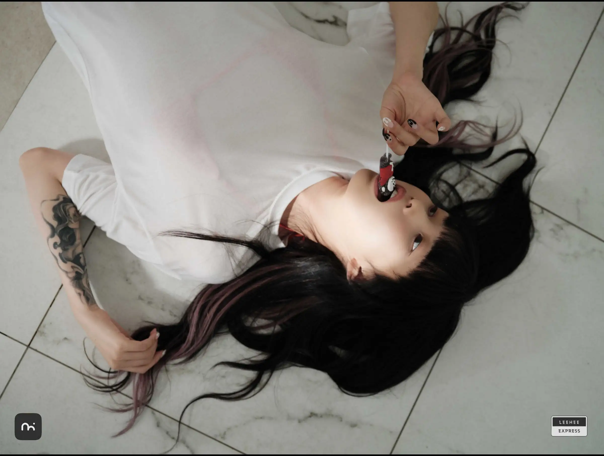 [Leehee Express] NO.473 LEDG-195B – GMS