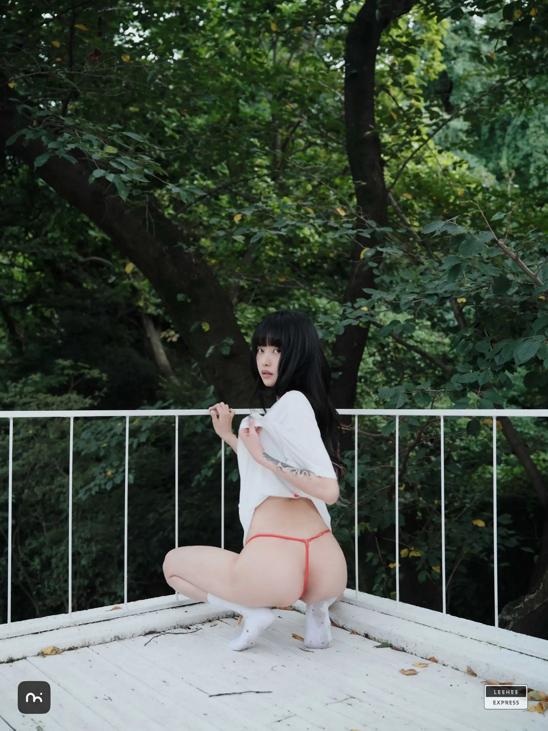 [Leehee Express] NO.473 LEDG-195B – GMS
