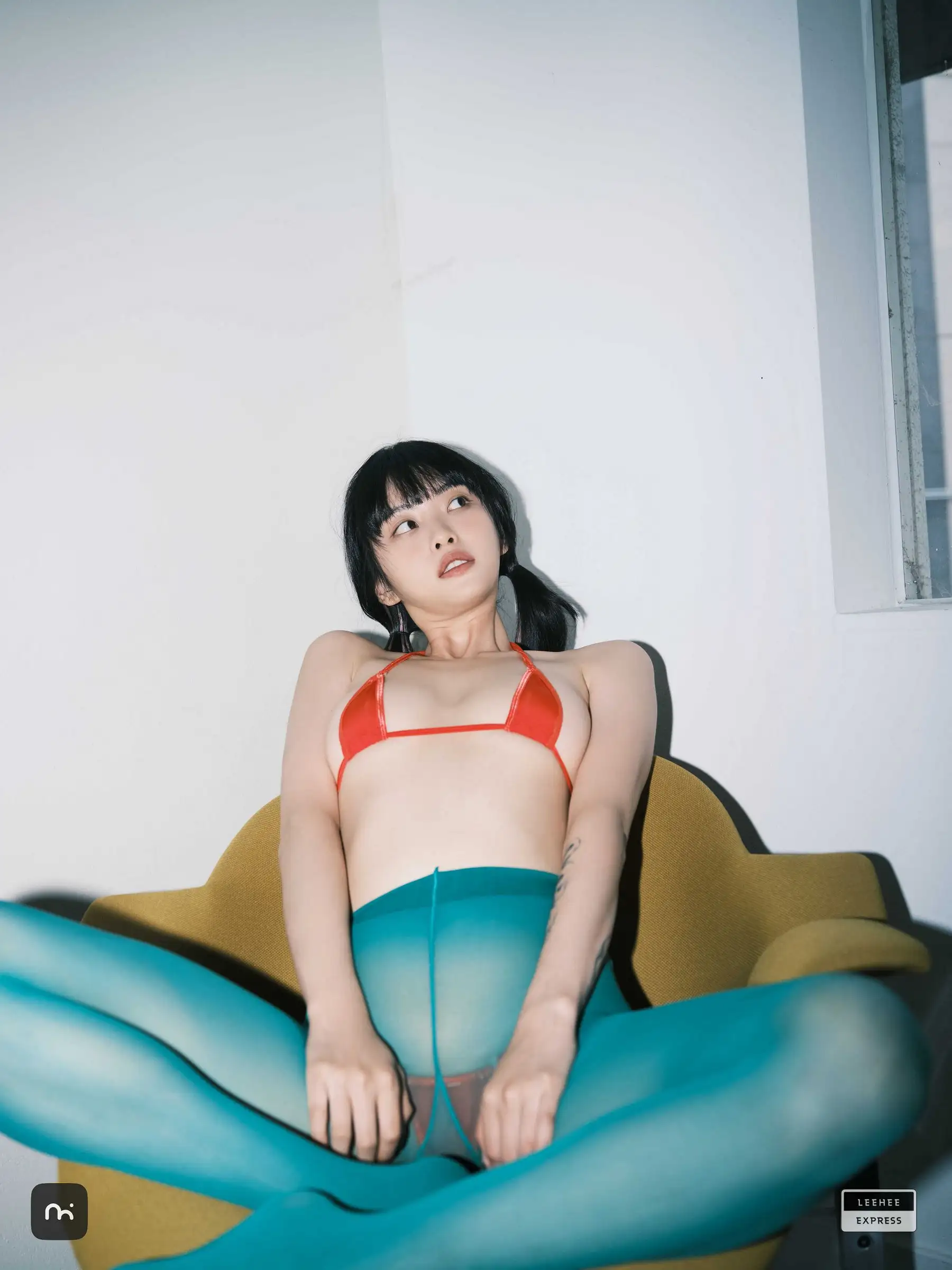 [Leehee Express] NO.497 LEDG-195C – GMS